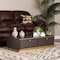 Baxton Studio Cormac Transitional Dark Brown Finished Wood and Gold Metal 2-Drawer Coffee Table 208-12137 - alternate 1